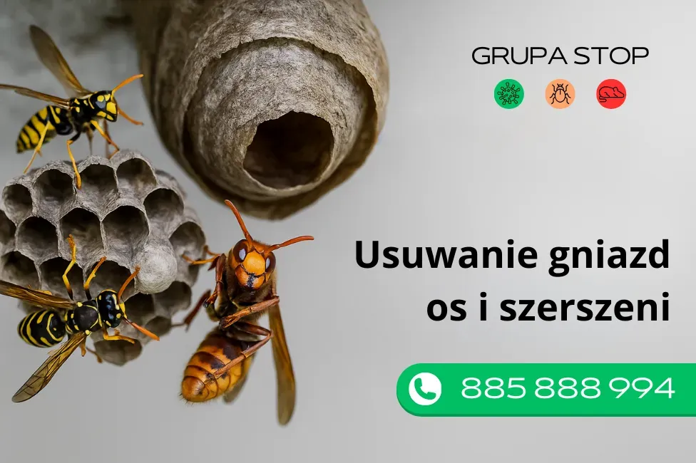 usuwanie gniazd os i szerszeni grupastop.pl